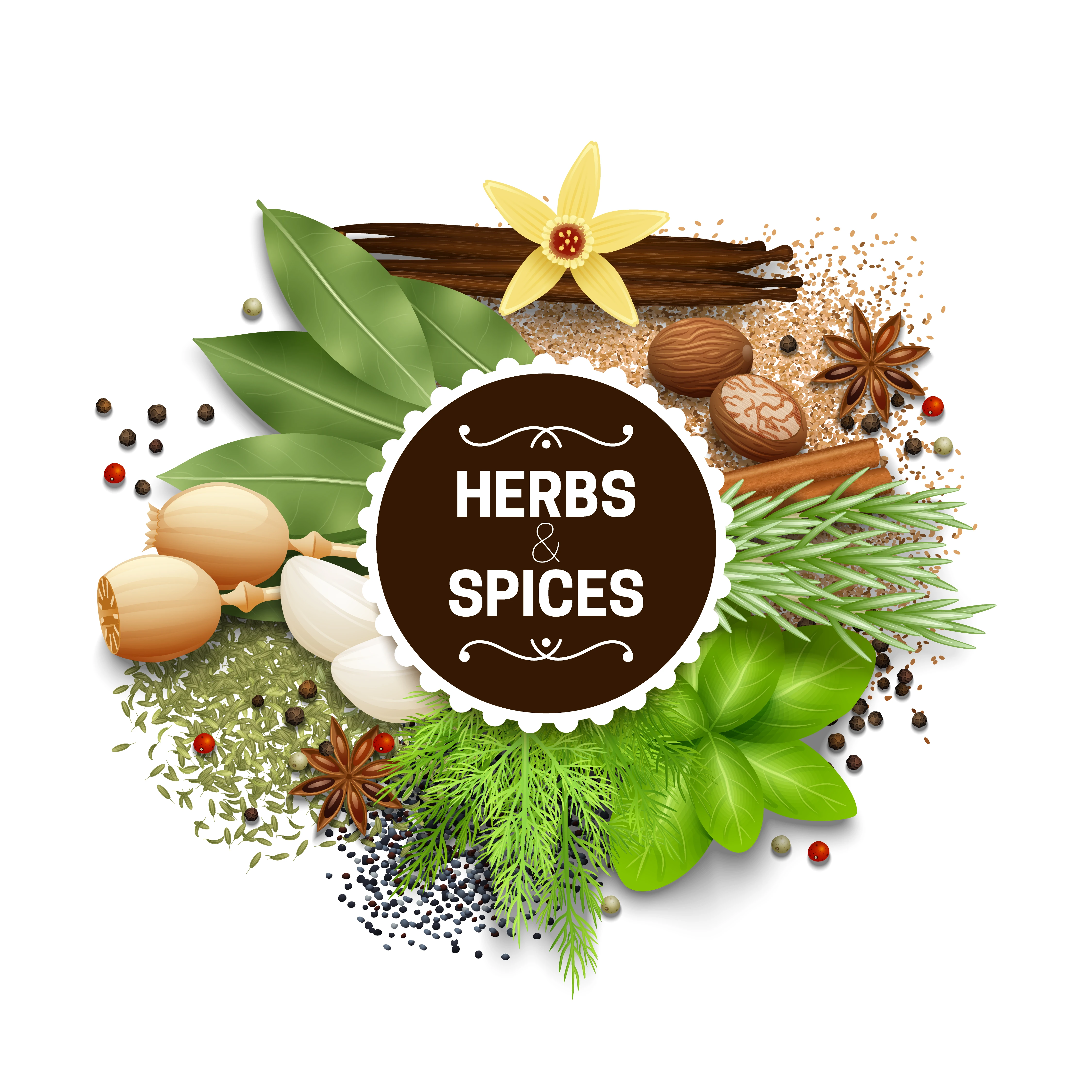 🌿 The Essence of Flavor: Discover the World of Herbs and Spices